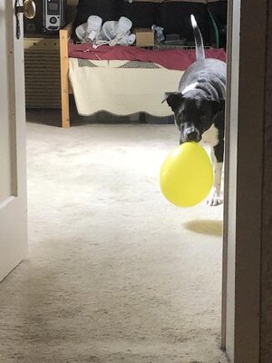 IMG_8259.jpeg