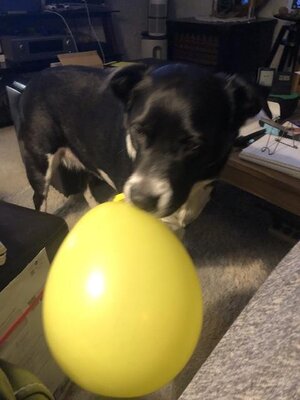 IMG_8258.jpeg
