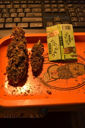 DSC_0109 - Copy (3).JPG