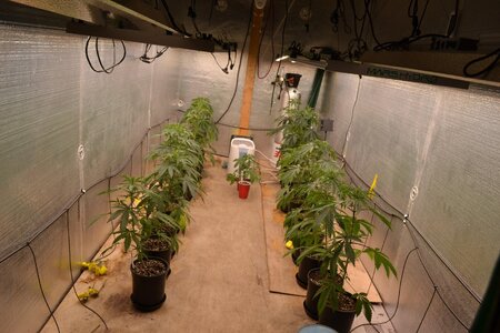 DSC_0026 - Copy (2).JPG