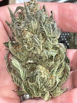 IMG_3387.jpeg