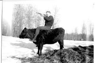 cowshootin.jpg