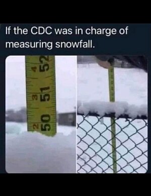 7230351f5dd5e5a288f4d0dcac6f501b.jpg