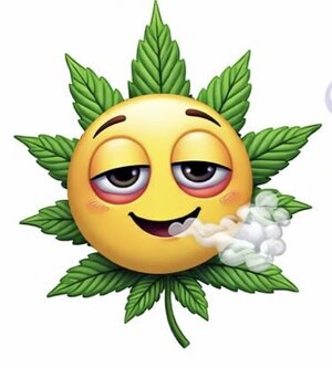 IMG_3626.jpeg IMG_3626.jpeg