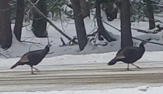 20260101_100011.jpg 20260101_100011.jpg