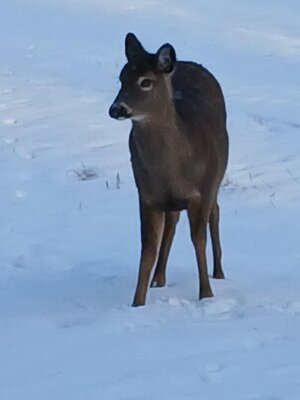 20251231_152057.jpg 20251231_152057.jpg