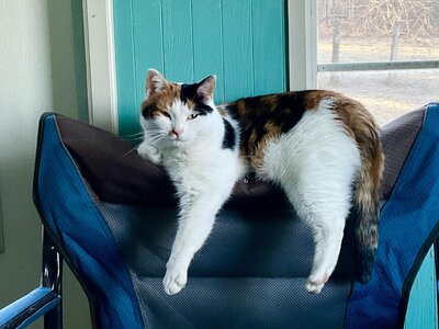 IMG_3624.jpeg