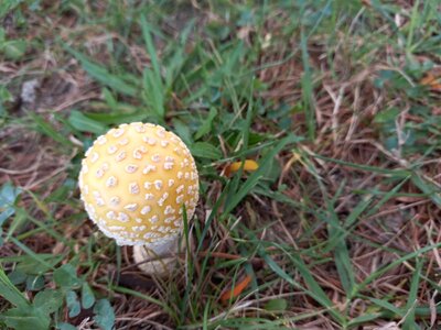 20210919_092216.jpg