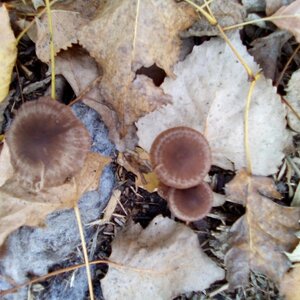 IMG_20201025_094118.jpg