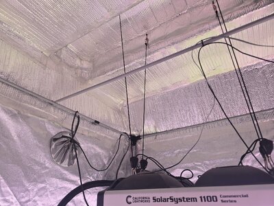 20260105_080820.jpg