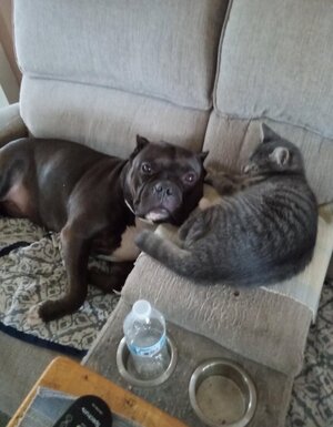 IMG_E7036.JPG IMG_E7036.JPG