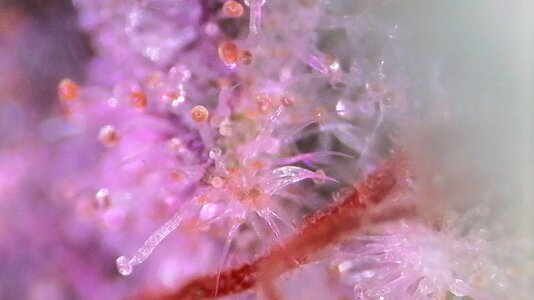 IMG_003.JPG IMG_003.JPG