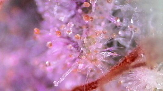 IMG_004.JPG IMG_004.JPG