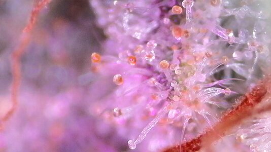 IMG_005.JPG IMG_005.JPG