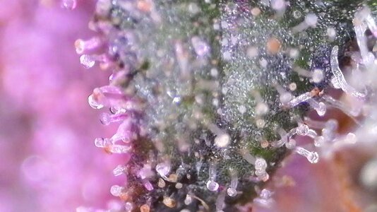 IMG_006.JPG IMG_006.JPG