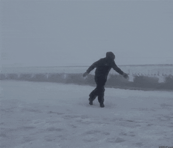 IMG_8608.gif