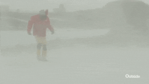 IMG_8609.gif