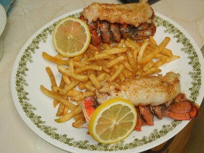 023.JPG