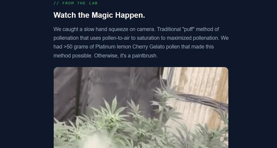 Screenshot 2026-01-10 081303.jpg