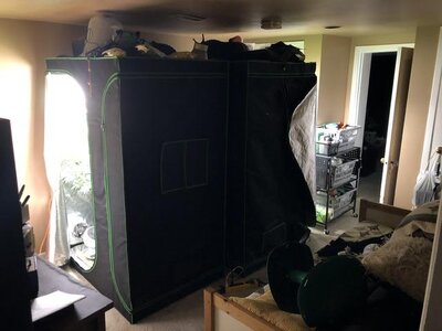 IMG_8617.jpeg