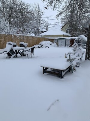 IMG_7058.jpeg