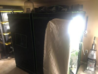 IMG_8725.jpeg