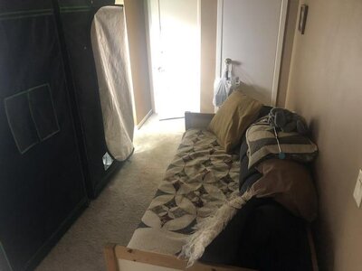 IMG_8728.jpeg