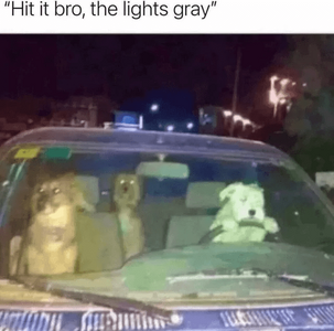 1768608952371.png