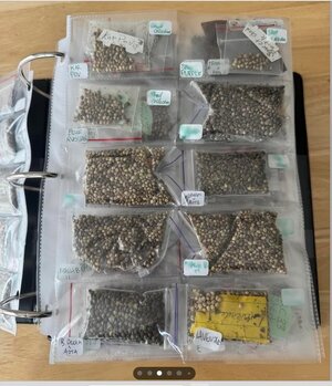 Screenshot 2025-12-30 092608.jpg