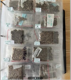 Screenshot 2025-12-30 092721.jpg