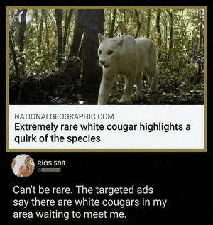 1769031060930.png