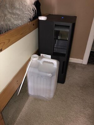 IMG_8777.jpeg