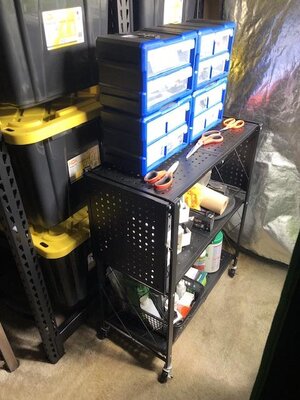 IMG_8782.jpeg