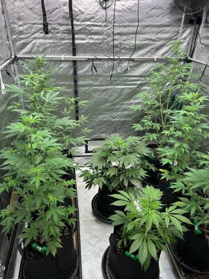 4872edaa-18b6-4e1e-94b3-73491116fcf1 (1).jpg