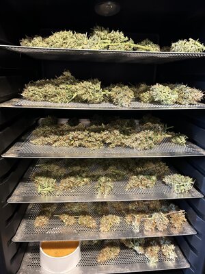 c4c4012b-d08a-4fe4-acb8-eced12066f33 (1).jpg