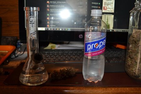 DSC_0103 - Copy (3).JPG