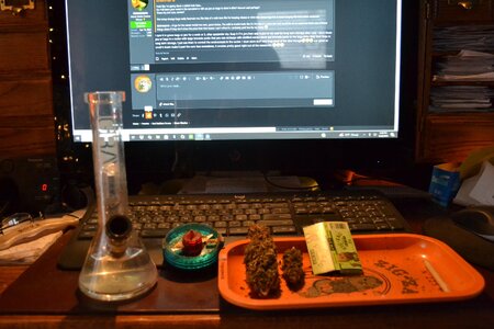 DSC_0108 - Copy (3).JPG