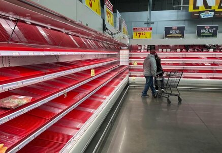 Screenshot 2026-01-24 082917.jpg