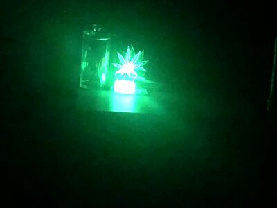 IMG_8837.jpeg