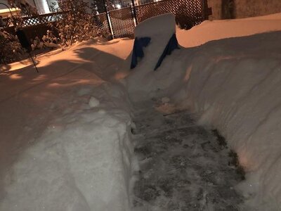 IMG_8851.jpeg
