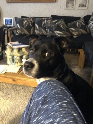IMG_8819.jpeg