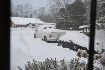 DSC_0131 - Copy (3).JPG