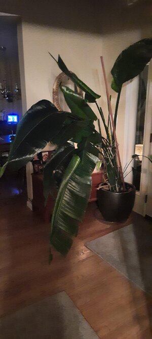 20260125_192716.jpg