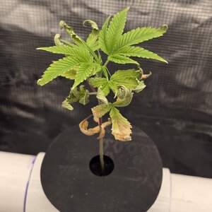 20260128_064648.jpg 20260128_064648.jpg