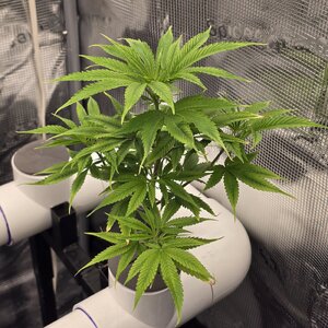 20260128_064653.jpg 20260128_064653.jpg