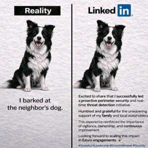 dog-linkedin.jpeg