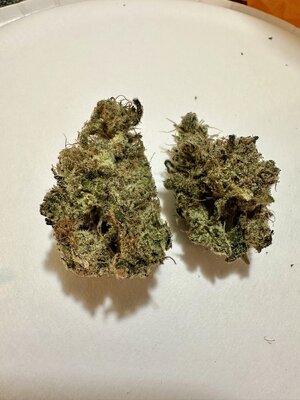 IMG_8642.jpeg