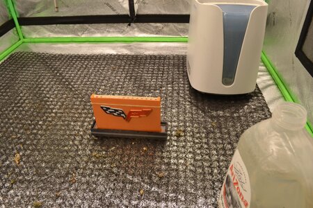 DSC_0143 - Copy (2).JPG