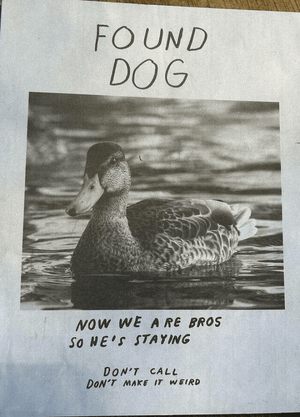 1770253861643.png
