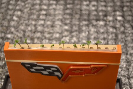 DSC_0147 - Copy (3).JPG